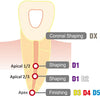 Dia-X NiTi Rotary Files  4/Pk-DiaDent