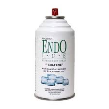 Hygenic Endo ICE Spray , 6/oz, 1/Pk (EndoIce)