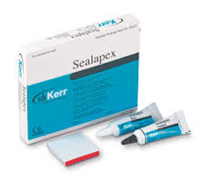 Sealapex Kit Root Canal Sealer ,12 g Base, 12 g Catalyst,